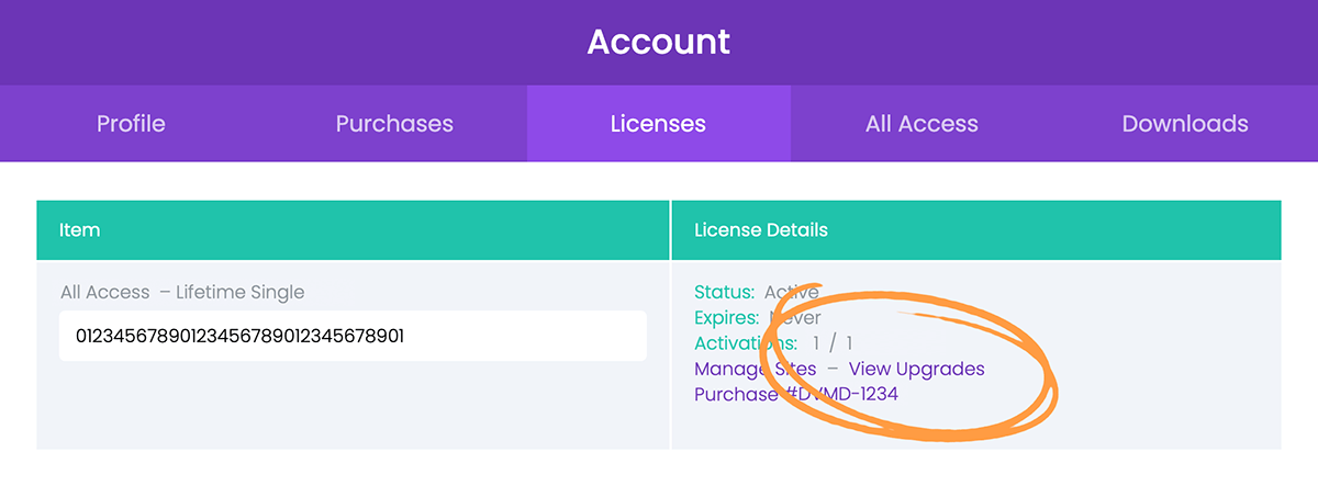 The licenses area of the Divi-Modules user account